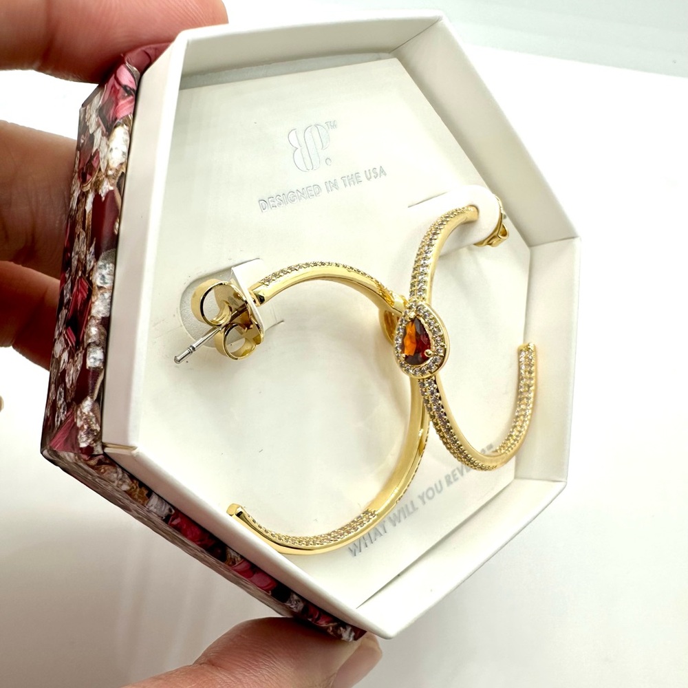 NFS Bomb Party Jan 2026 Earrings Hoops ER57431 The Thin Line Garnet in Gold